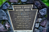 2023-09-25 Marion E Brooks Natural Area, PA