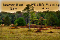 2023-09-25 Beaver Run Dam Wildlife Viewing Area
