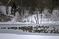 Winter on the Giving Pond